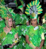 Carnaval des fleurs Carnaval de Nouméa 2015 Nouvelle-Calédonie