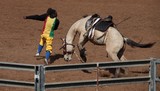 clown de rodeo foire agricole de bourail nouvelle calédonie