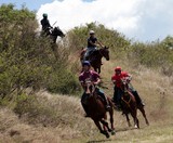 Course de cheval dans la colline Nouvelle-Calédonie stockmen