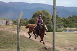 Course Hippique parcours du Stockmen Foire de Koumac Nouvelle-Calédonie