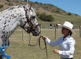 Apaloosa horse stalion and his beautiful cowgirl