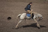 Rodeoman stockman New Caledonia horse riding a rode horse
