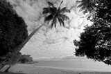 Plage de la Moara Sable blanc cocotier Nouvelle-Calédonie Thio Mission