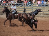 Rodéo cheval sauvage Foire de Bourail 2012 Nouvelle-Calédonie