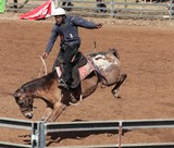 Bronc riding Foire de Bourail 2012 Nouvelle-Calédonie