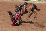 Accident de Rodeo Foire de Bourail 2012 Nouvelle-Calédonie